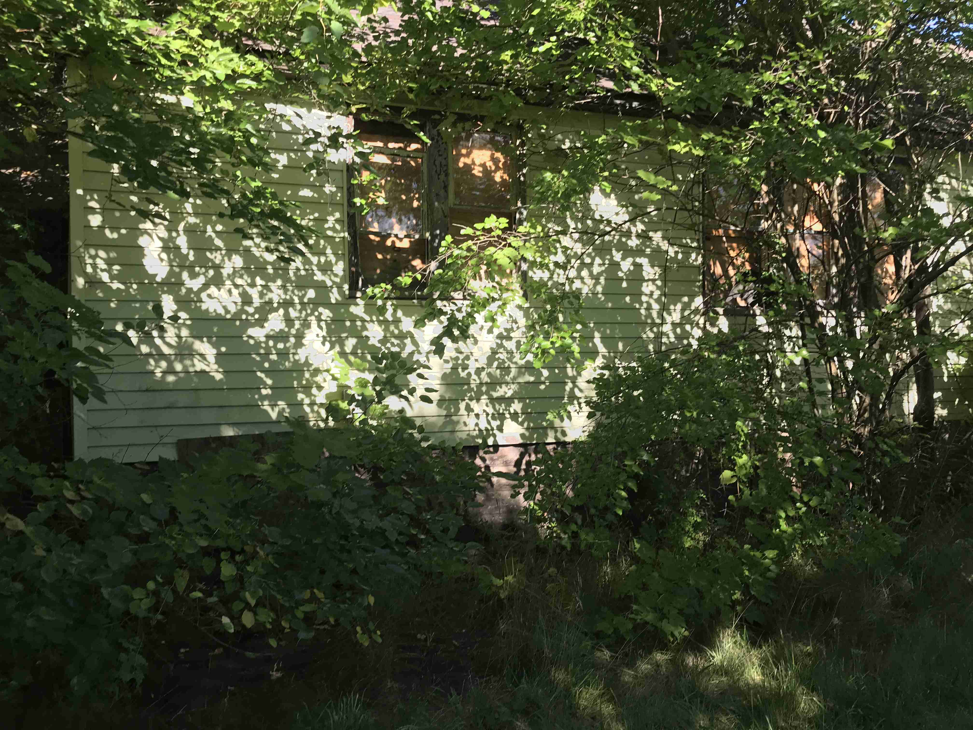 Photo Aug 20, 10 10 27 AM (1).jpg